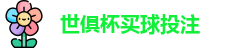 足球世界俱乐部杯2025